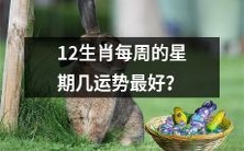 哪一天是12生肖每周最有利的星期运势?