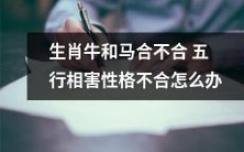 生肖牛和生肖马的五行相害性格不合,怎么能改善关系?