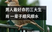 这三个生肖男人命最好,一生都能一帆风顺,事事顺心如意