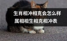 示:生肖相冲相克会如何影响人的命运以及属相相生相克相冲的概括表述