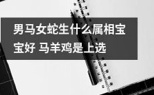 男性是马,女性是蛇,他们所生的宝宝会是哪个属相?马、羊、鸡是最好的选择!