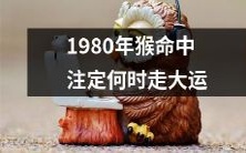 什么时候会是1980年生肖猴大展宏图、发大财的黄金时期?