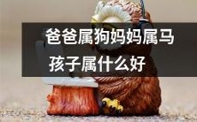 根据中国十二生肖,爸爸属狗,妈妈属马,究竟应该如何确定孩子的生肖并找到最佳匹配呢?