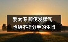 哪些生肖即使在情感关系中发脾气,也永远不会因此提出分手?