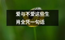 生肖爱情真相揭秘:命中注定?还是一句话决定一切?