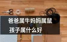 如果父亲属于牛座,母亲属于鼠座,那么他们的孩子会是什么星座的呢?