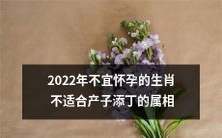 2022年不宜怀孕的十二生肖:哪些属相不适合在瑞犬迎春的日子里产子添丁?