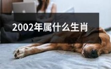 想知道2002年出生的你属于哪个生肖吗?快来看看吧!