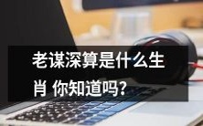 你知道哪个生肖被称为老谋深算吗?