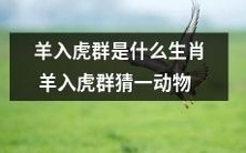 究竟是哪个动物呢?生肖羊闯进虎群的神奇之旅