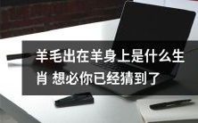 你猜得到的生肖:那些毛绒绒的羊身上的羊毛是由谁产生的?