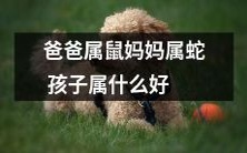 根据生肖配对,父亲属鼠母亲属蛇,那么孩子应属于哪个生肖?