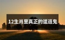 发现了!12生肖中哪一个是真正的邋遢鬼?