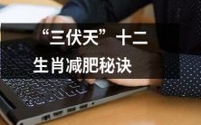 通过十二生肖运用的减肥技巧来应对酷热的三伏天