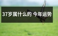 2021年37岁属什么的人的全年综合运势预测如何?