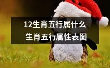 12种动物的属相五行属性是什么?详细生肖五行表及图示介绍!