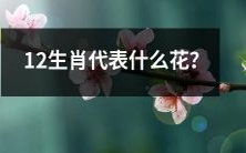 了解12生肖所象征的花卉是什么?