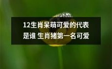 谁是12生肖中呆萌可爱的代表?揭秘生肖猪荣登榜首的可爱之处!