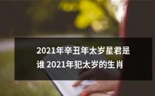 2021年辛丑年的太岁星君及受其影响的生肖有哪些?