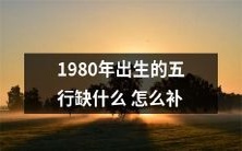 如何针对1980年出生的五行缺少的元素进行有效的补充和平衡?