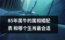 85年属牛的属相婚配表:哪些生肖最适合和牛兼容?