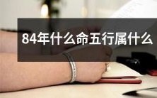 根据生辰八字,推算84年出生者的五行属性及命运趋势是什么?