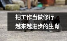 随着时间的推移,越来越多的生肖把工作视为一种修行,不断取得进步