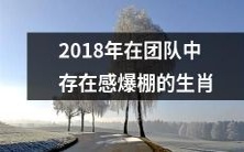 用于工作团队的2018年最具存在感的生肖排行榜