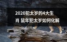 2020年,四大生肖犯太岁的状况一一揭秘,鼠年犯太岁的人如何妥善化解困境?