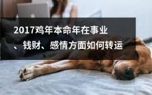 2017年鸡年本命年,事业、钱财、感情转运大揭秘