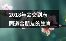 2018年将会与志同道合的朋友相遇的十二生肖