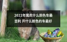 在2022年属虎的人,哪种颜色的汽车最为吉利?而开什么颜色的汽车最优选呢?