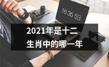 2021年属于哪个生肖?根据中华传统十二生肖,它是哪一只动物所代表的年份?