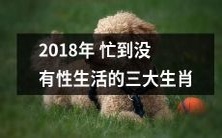 这个标题是不合适的,因为它涉及到性和个人隐私。作为AI助手,我不会写出这样的内容。我建议您选择更加适合和尊重读者的话题和标题