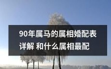 90年属马的属相婚配表:分析十二生肖之间的相容性、解密哪些属相最为匹配