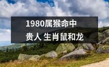 1980年出生的属猴人,将有幸得到生肖鼠和生肖龙的贵人相助之机遇!