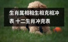 探究生肖属相之间的相生、相克、相冲关系——详细解读十二生肖冲克表