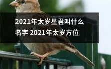 2021年太岁星君的名称以及其在十二生肖中的方位是什么?