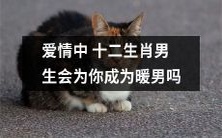 询问十二生肖男性在爱情中是否有成为暖男的潜质