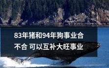 83年猪和94年狗的事业是否具备互补性,能否促进大旺事业的发展?
