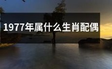 什么生肖可以与1977年出生的人配对?