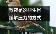 这些属相通过熬夜以缓解压力为方式