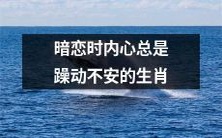 哪些生肖在暗恋时内心总是躁动不安、难以平静?