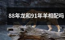 1988年出生的龙和1991年出生的羊能否匹配?