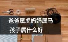 经过基因遗传,父亲是虎子,母亲是马儿,那么他们孩子将会是哪个属相呢?华丽变身,揭晓属相综合线索!