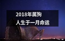 如何预测2018年出生在一月的属狗人的命运?