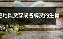 12生肖如何将地摊货变身为名牌货?为您揭秘!