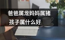 根据属相推断,爸爸是属龙,妈妈是属猪,那么孩子会是什么属相呢?请大家帮忙解答