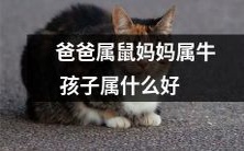 如果父亲是属鼠,母亲是属牛,那么他们的孩子将属于哪个生肖呢?