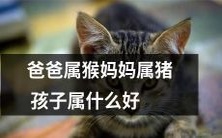 如果爸爸是猴子,妈妈是猪宝宝应该属于什么?